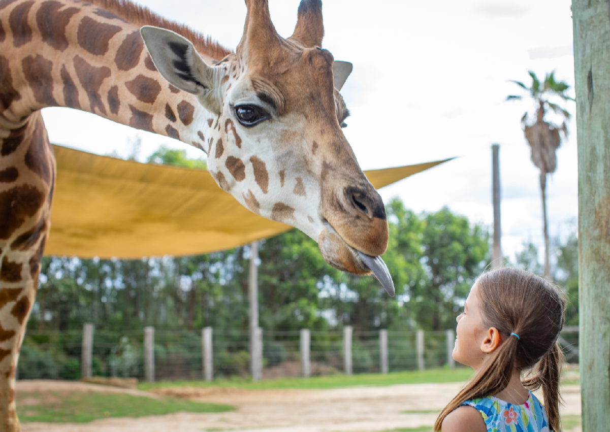 Giraffe_Encounter_Image2
