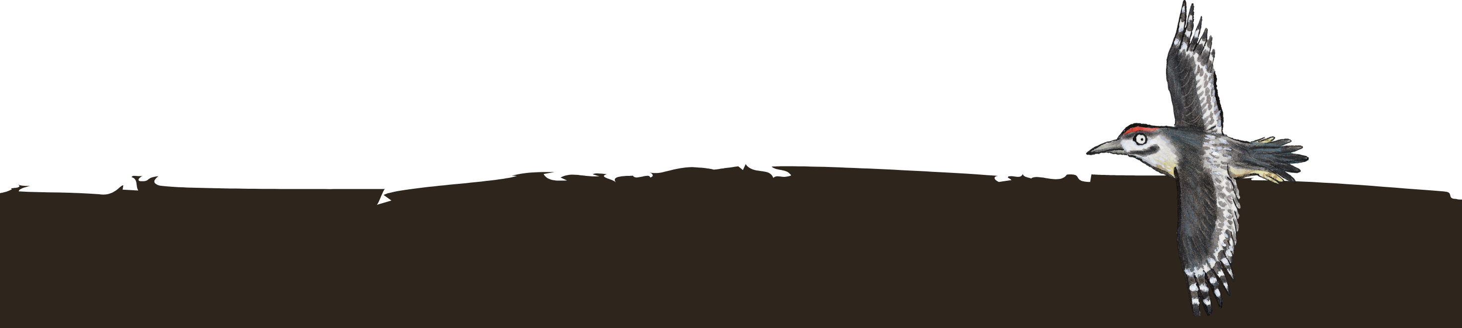 Gruffalo_Divider-3