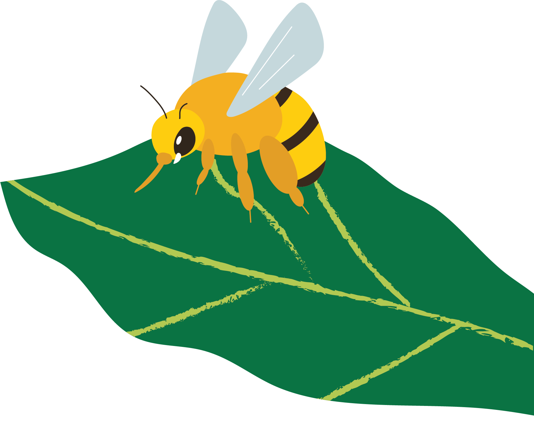 Bee