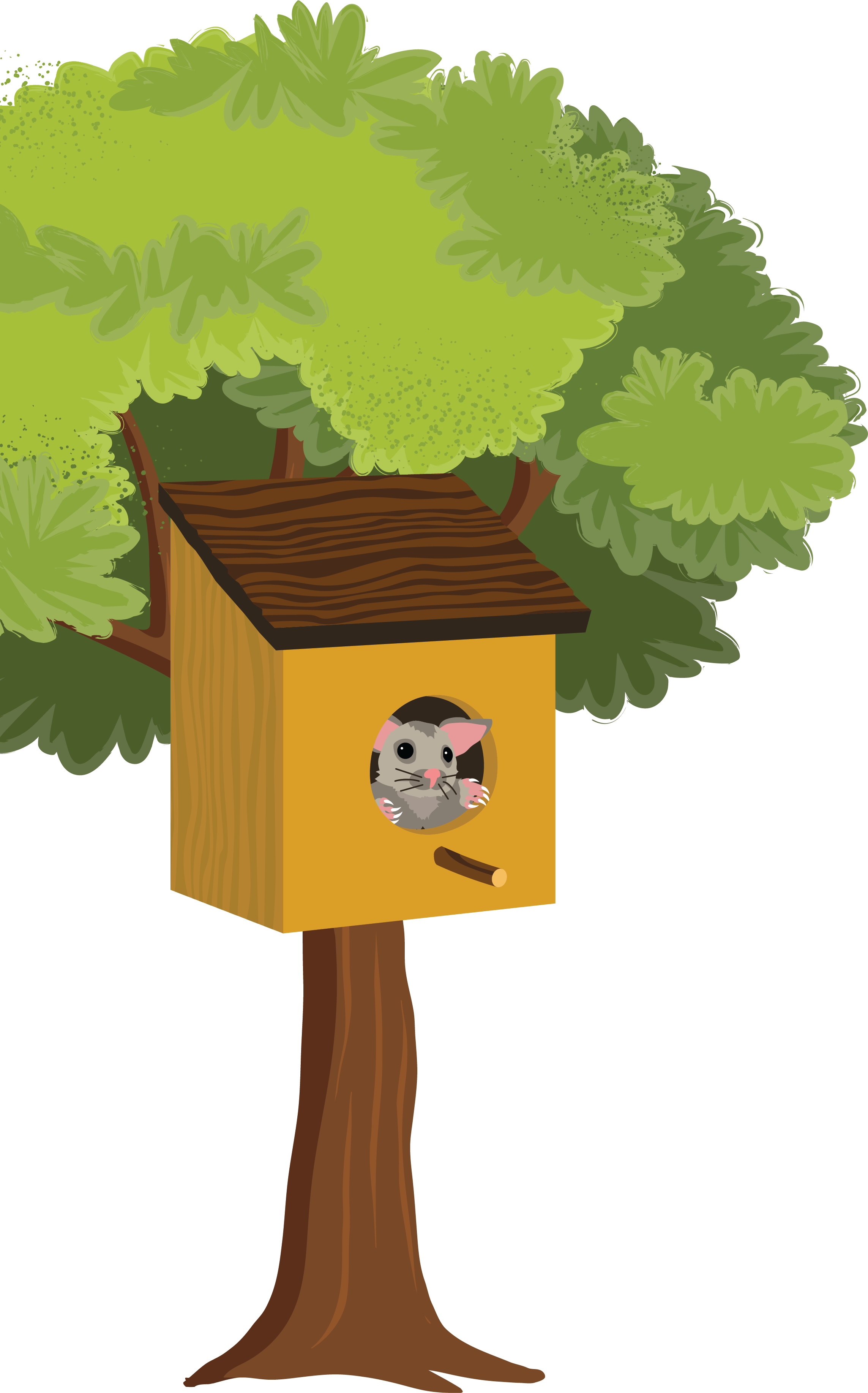 Possum Box