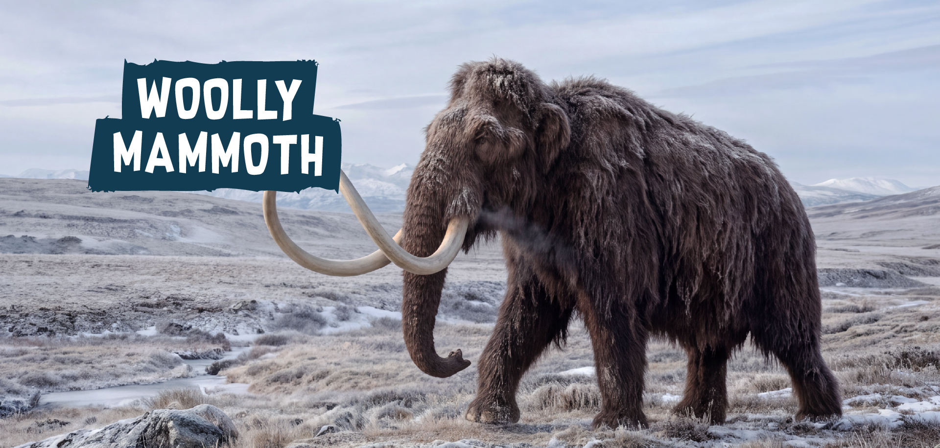 0801-MAR Ice Age Web Assets-23