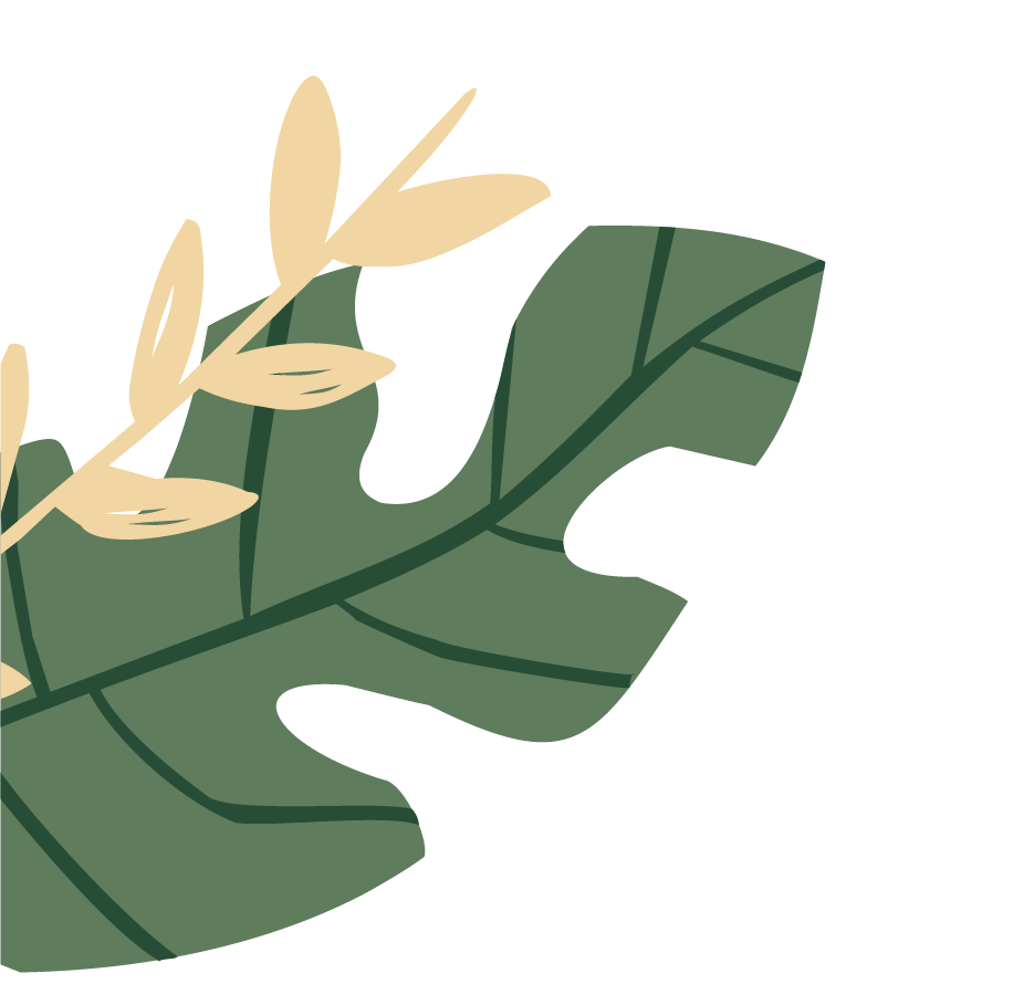 Leaf-RHS@2x