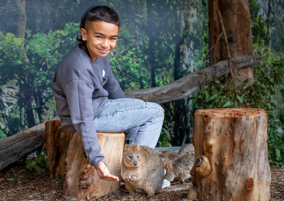 Quokka_Encounter_Image1