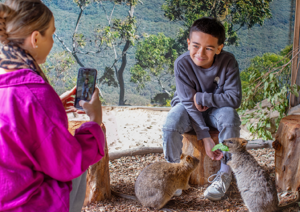 Quokka_Encounter_Image2