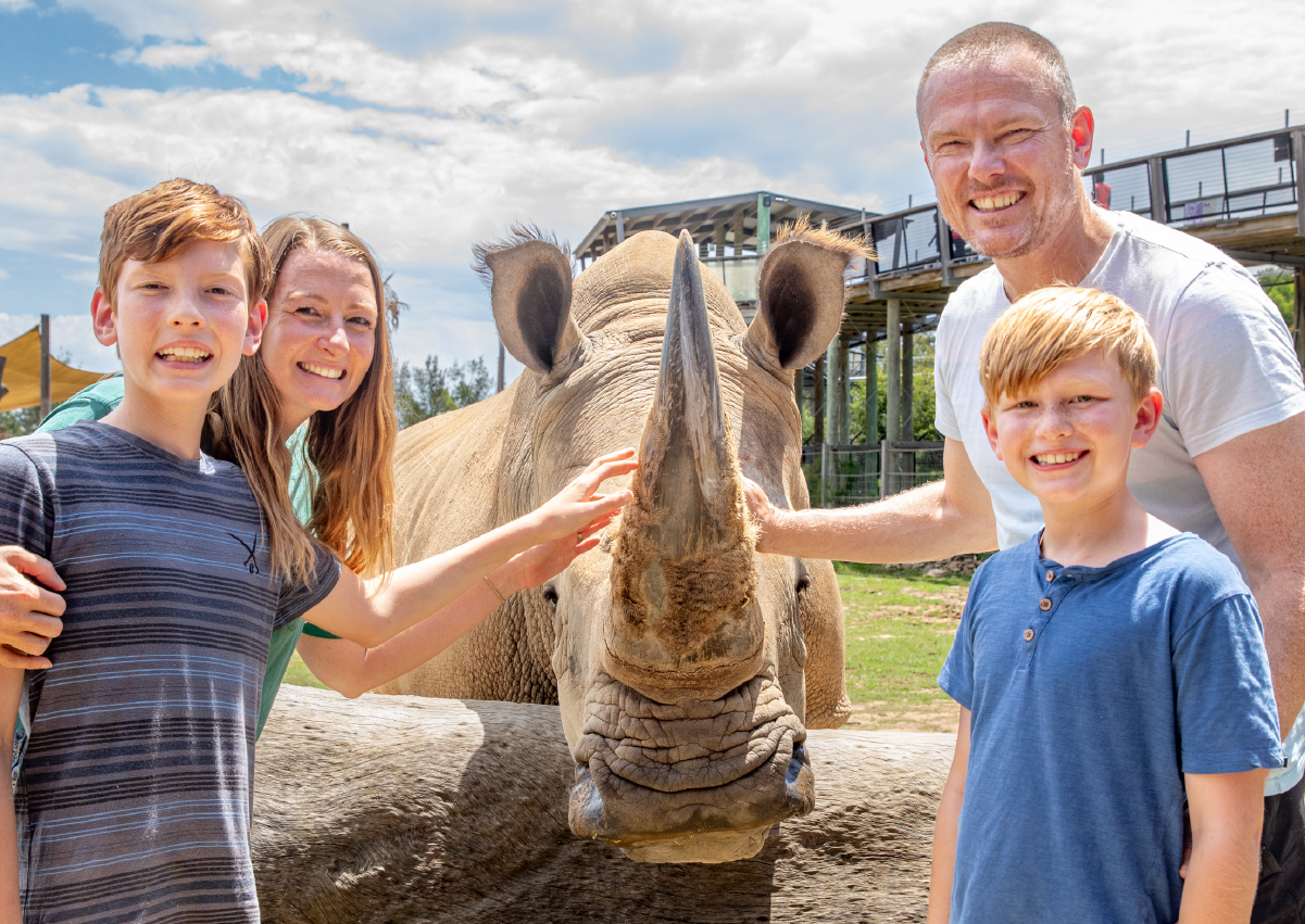 Rhino_Encounter_Image3