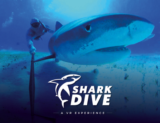 SHARK DIVE - ENGLISH - EMAIL INSET IMAGE - 1300 x 1000 - GENERIC - 1