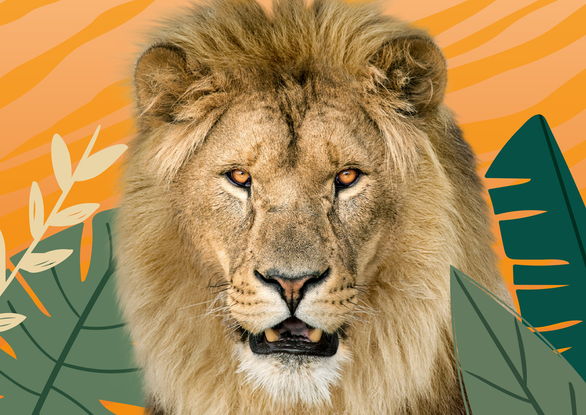 Summer_Homepage-Tile-Small