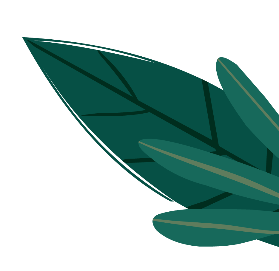 leaf-LHS@2x