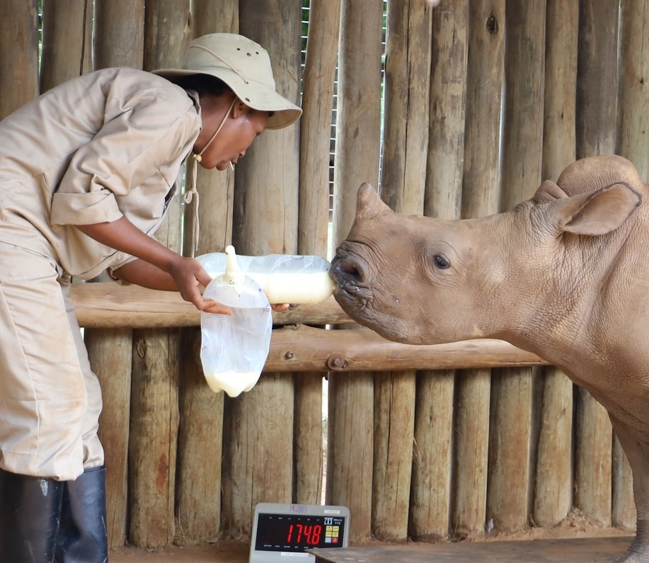 slider-rehabilitation-01