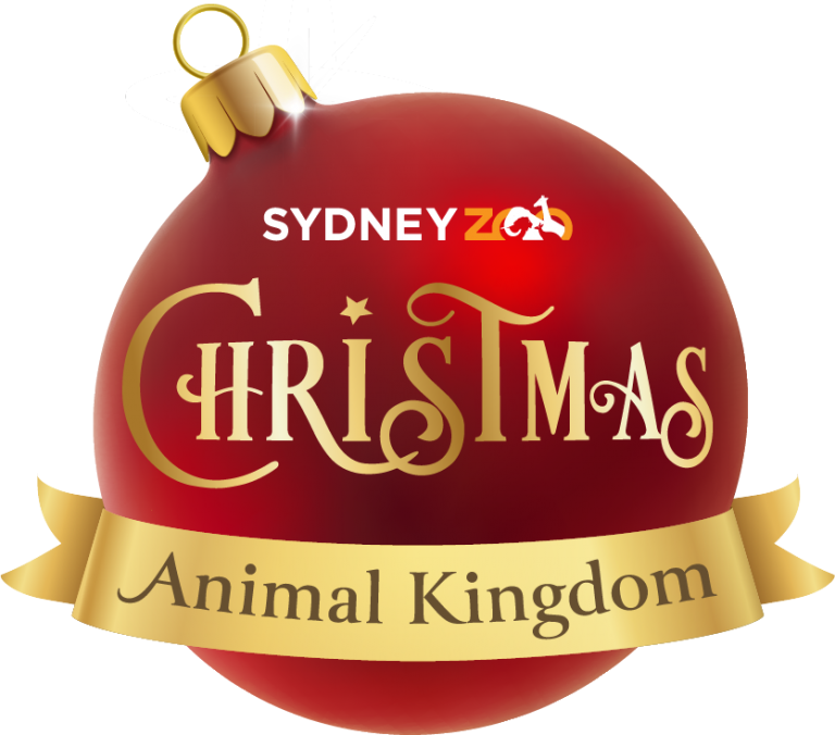 Sydney Zoo Christmas Animal Kingdom