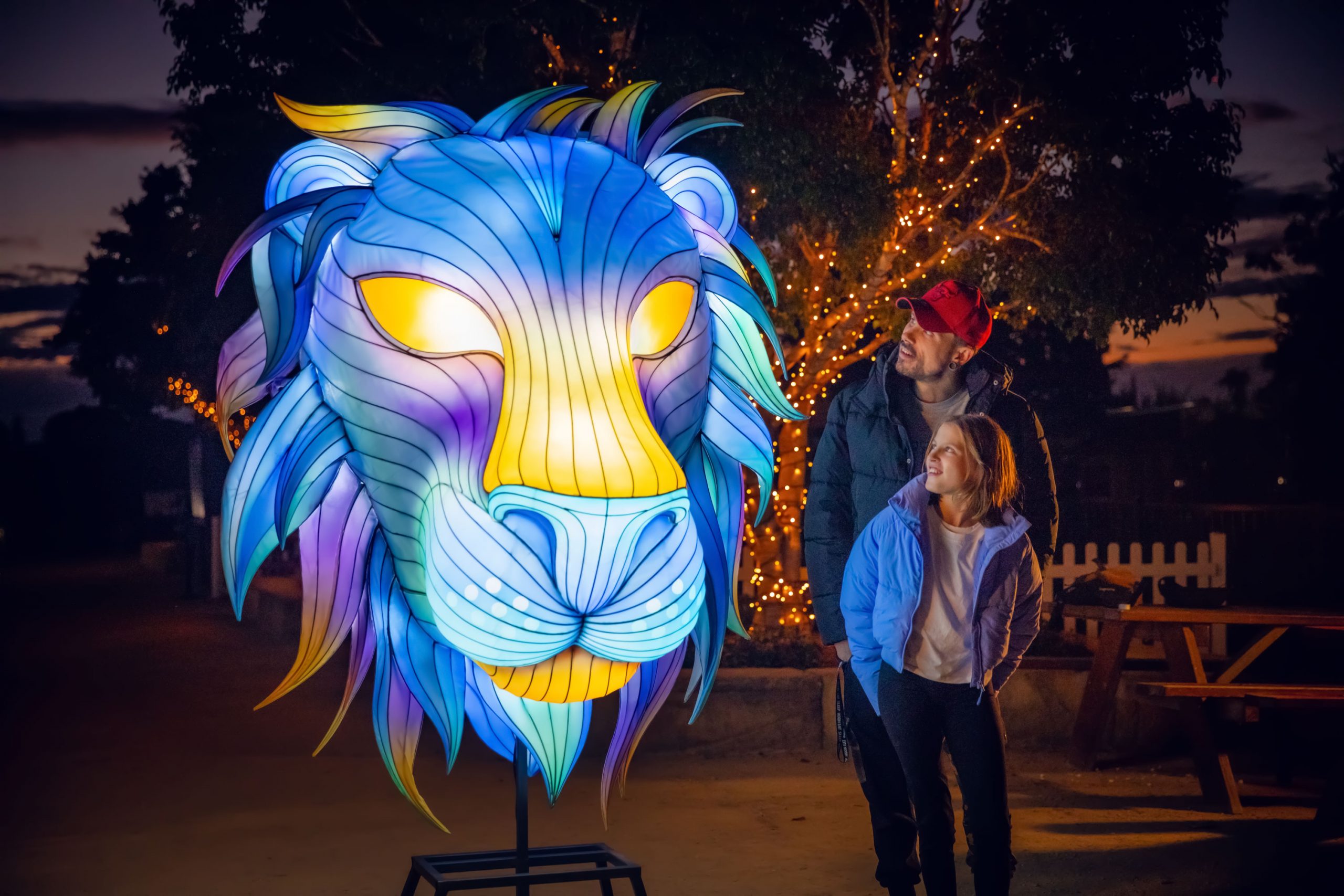 Sydney Zoo GLOW Highlights